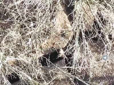 Recycling of russian garbage.