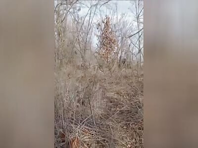 Distracted Russian Invader Runs Into Ukrainian Soldiers