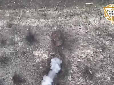 Destruction of orcs and their equipment 