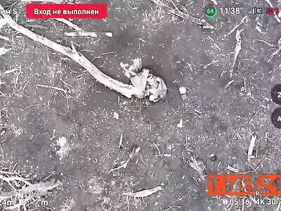 Hiding Ukrainians get torn to pieces