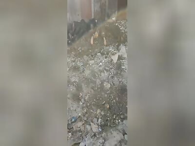 more than 10 burned bodies, with bullet marks and their handcuffs cut 