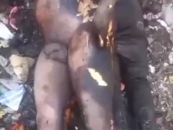 [PART ONE]TODAY THERE IS HAITIAN BARBECUE