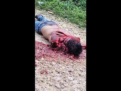 destroyed by Machete blows