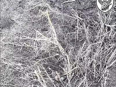 At the battlefield in Ukraine life can be harsh for the Ru soldiers