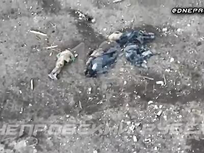 Ukrops Rotting On The Banks Of The Dnjpr River. 