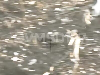 Changing Rat Hole Doesn't Save Ukrop