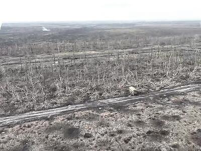 Finishing off some orcs