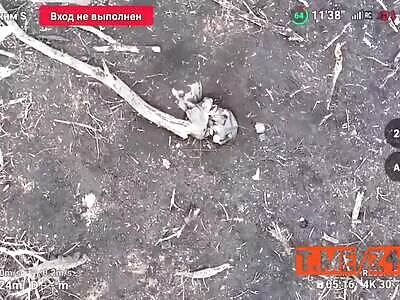 Finishing ukrainian soldiers 