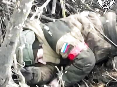 Bang Bang for the russian pig