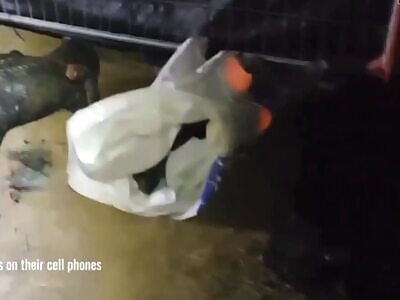 Results of Hamas massacre 