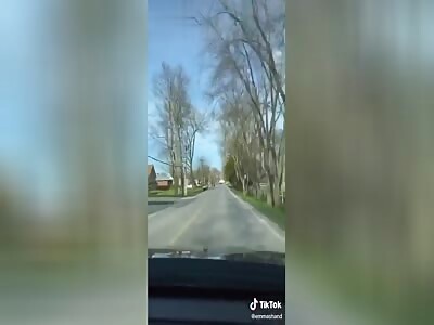 WTF: Crazy Optical Illusion