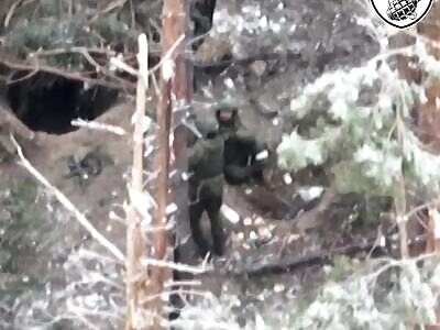 Kadirov's pets targeted by drone