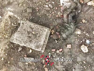 Invader dying after multiple granades 