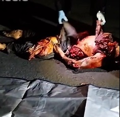 Woman missing since January 4 finally found