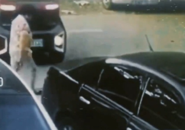 Old Chinese woman crashed two times by stupid female driver 