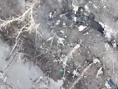 Ukranian drones sending more invaders to hell