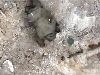 Invader sent to hell