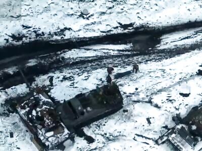 Orcs after the battle