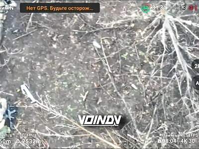 Many dead Ukrainians after battle 