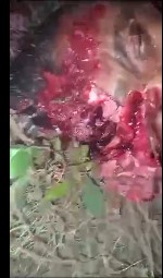 Naked man is found without his brain