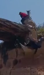 Knight & Horse Fall to Their Death.