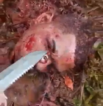 Favela Traffickers Don't Like Competition.