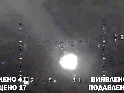 Part of the work of the Magyar Birds 