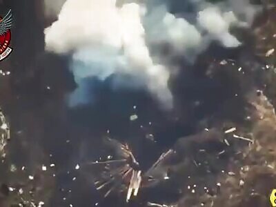 There's no safe place for orcs in Ukranian land