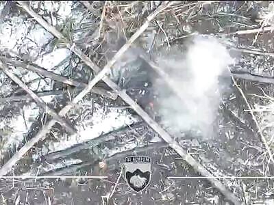 Two accurate grenade hits on invaders 