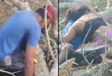 Motorcyclist fatally crashed into a tree 