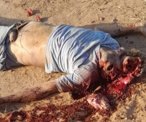 Rival Executed With A Shotgun (Aftermath)