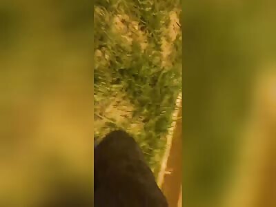 Beheaded in accident