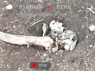 Russian drones hunting ukrops