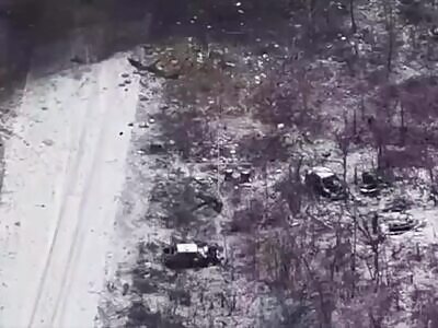 FPVs Hunting Invaders (Short Compilation)