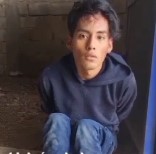 DAMN: This Is Why You Don't Challenge a Mexican Cartel.