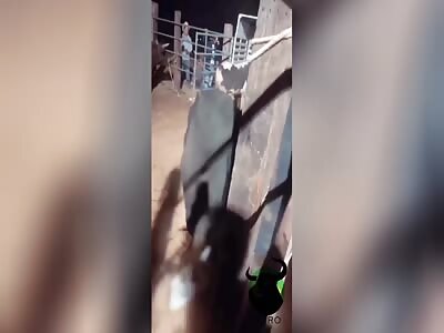 Bull gives a good lesson to a brave boy 