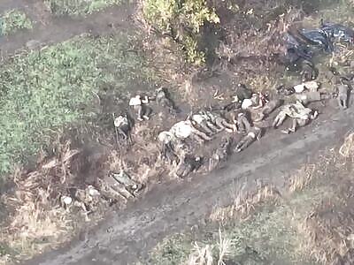 Russians collecting some of their dead