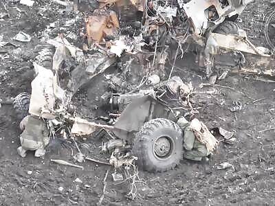 The Russians pretended to be an ostrich