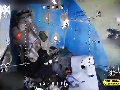 FPV makes Russian steak