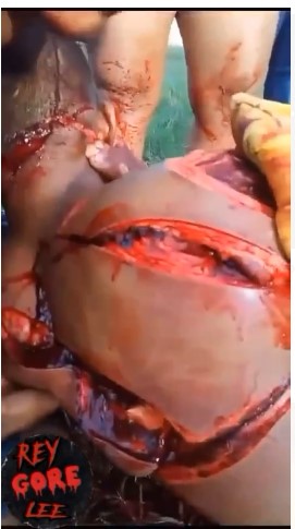 horrible horrible machete attack