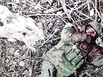 Russian meat is scattered across the fields