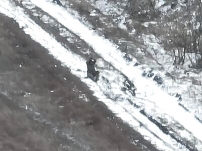 Orc prayers didn't work 