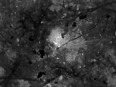 Orcs having a rough time with the honey badger 