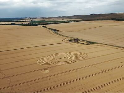 Many Crop Circles