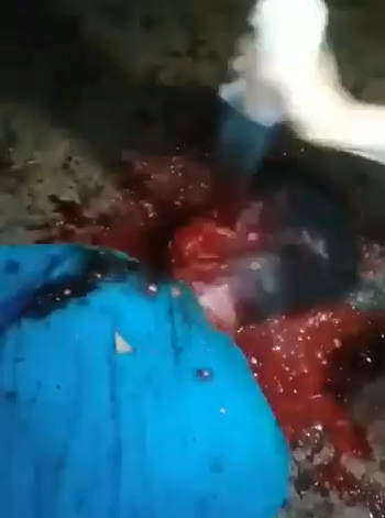 Gang Members Poke Their Sharp Knives On A Rival... And It Ain't Pretty.