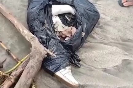 remains of human bodies stuffed in black covers and in state of decomp