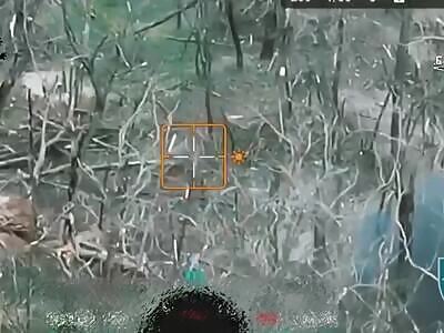 And this is the whole truth behind the 