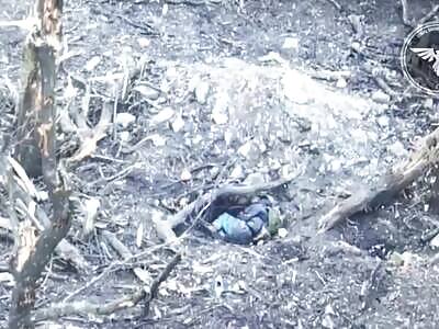 Minced Russian soldier