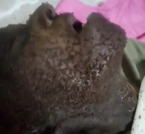  In a nursing home, a 90-year-old woman was found in this way