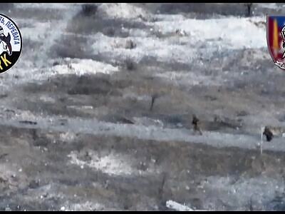 Where were you going Igor?